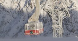 Snowbird large