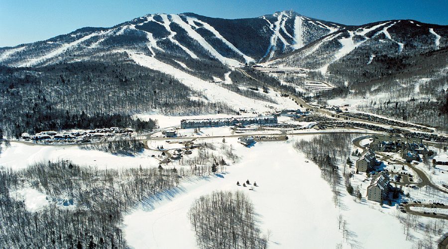 01106 a 2100x1736 300 RGB copy