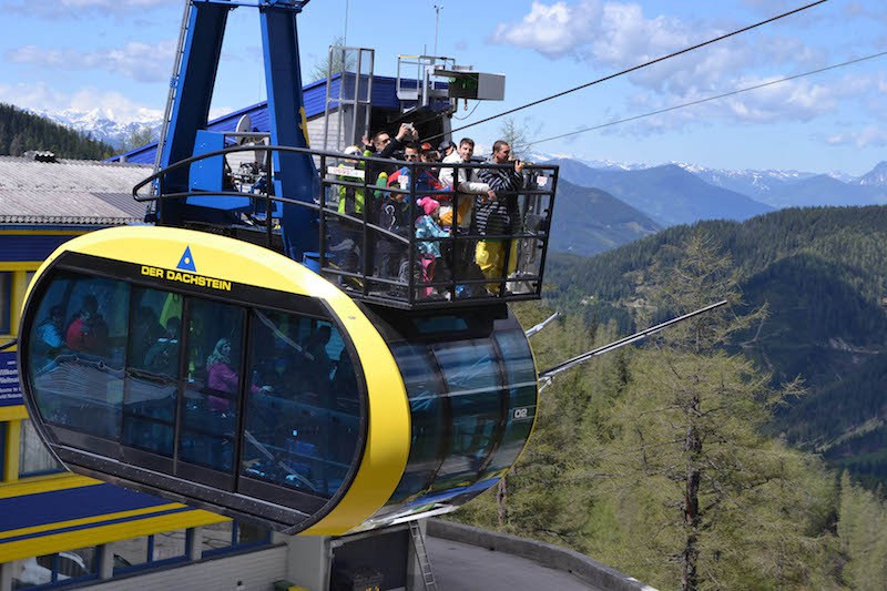 Dachstein Cable Car Recreated with 20,000 Daisies To Celebrate 50 Years