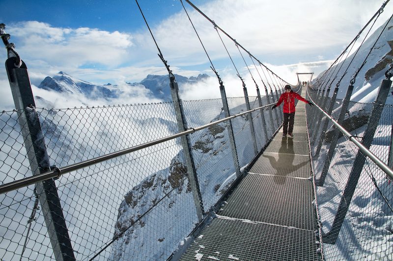 Zipline Coasters The Next New Thing in Ski Resorts