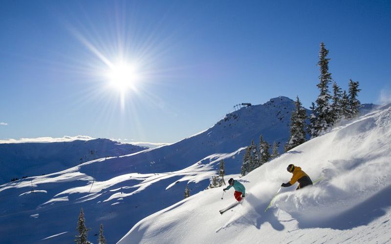 Whistler image 800x800