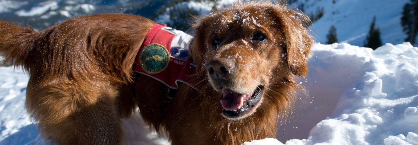 Squaw Valley Dod