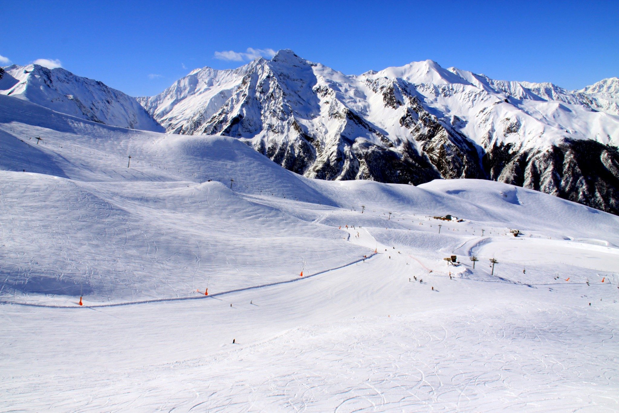 The Perfect Pyrenees