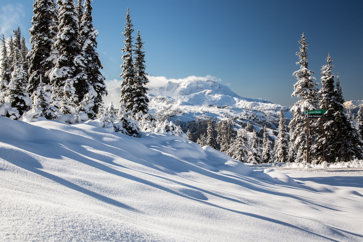 [Life On The Slopes] When To Wait
