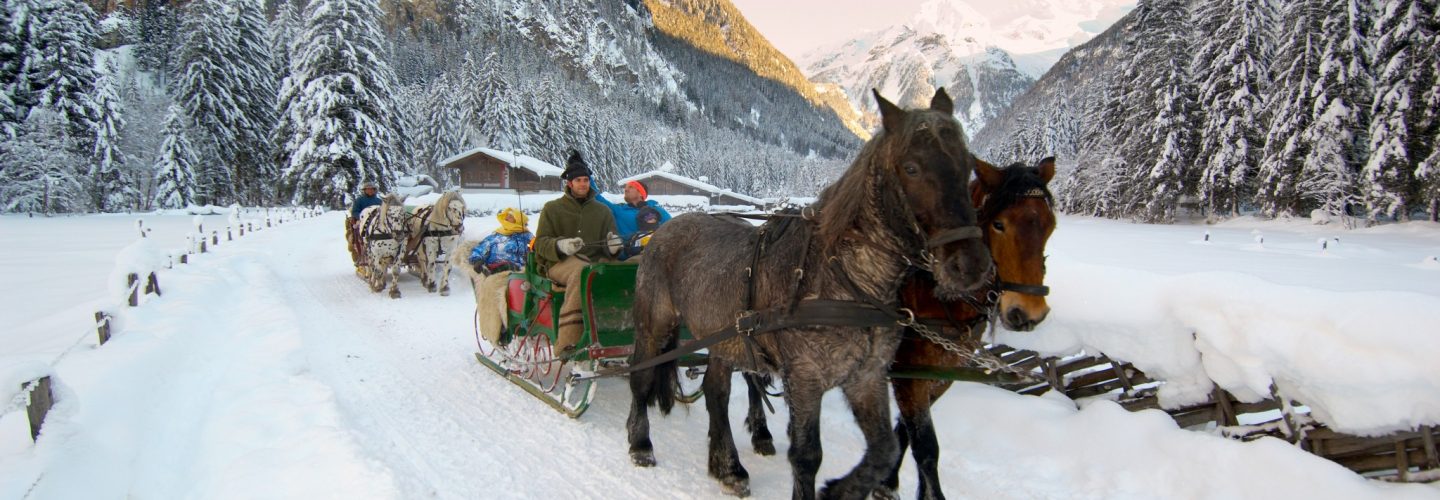 Bad Hof horse drawn sleigh