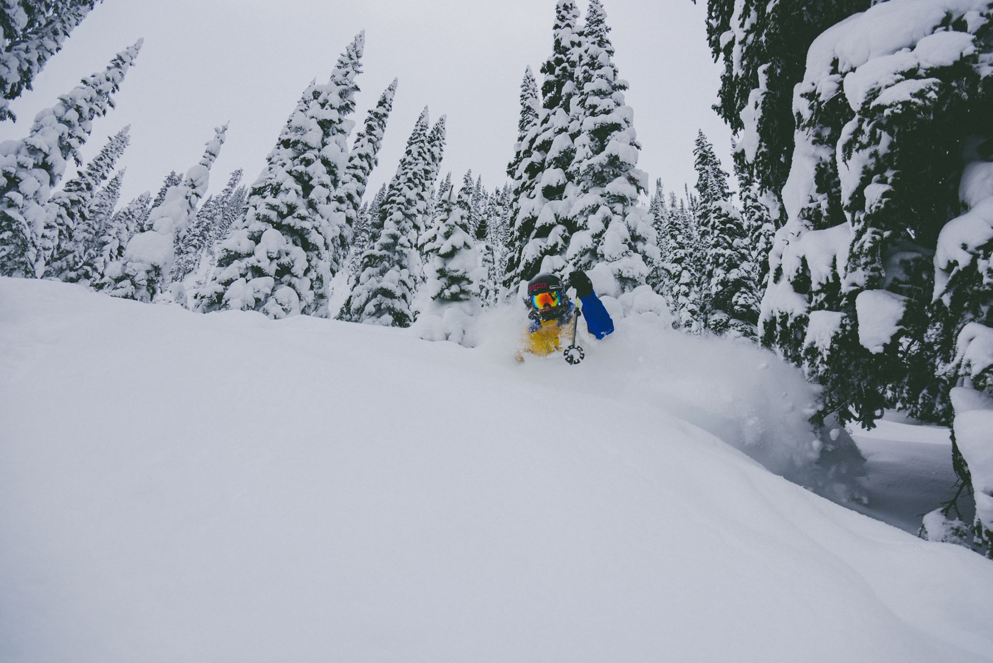 Where To Ski or Snowboard This Week Ending January 30th, 2016