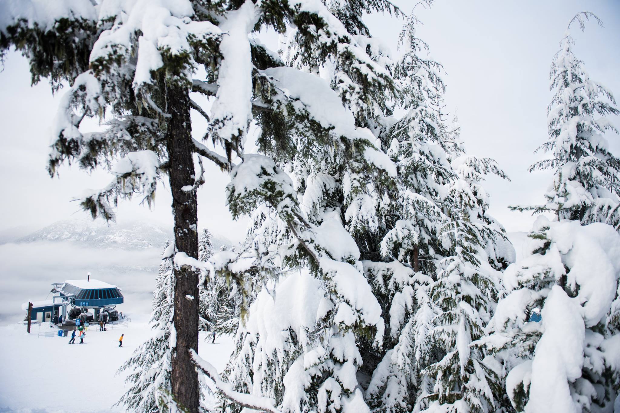 Where To Ski or Board This Week Ending January 23rd?