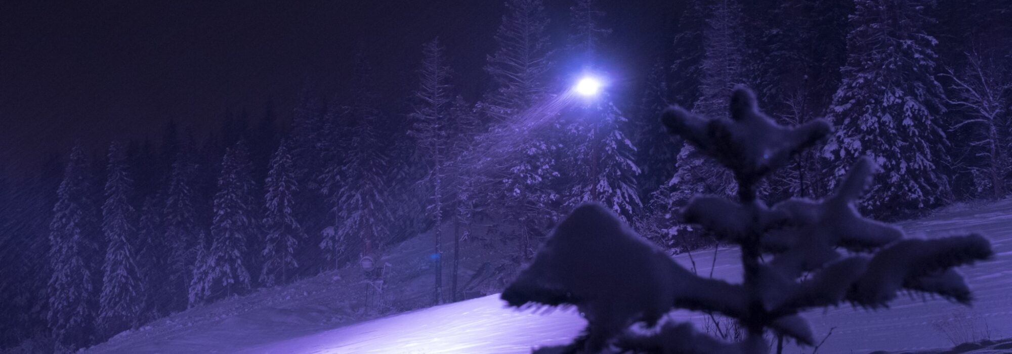 re Open Snowpark With Coloured Lighting Effects 1