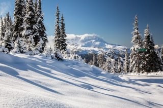 Whistler Resort Guide