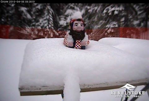 Where To Ski or Board This Week Ending April 16th?