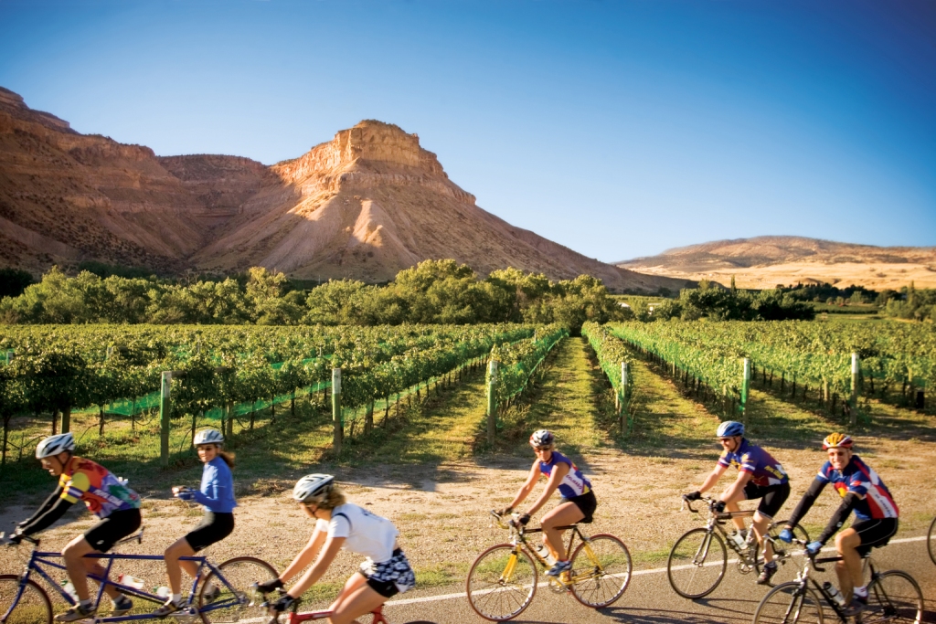 Biking Colorado