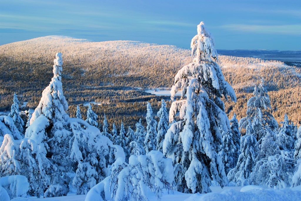 Lapland Sees Bookings Surge as “90% of Enquiries” Now for 21-22 Ski Trips