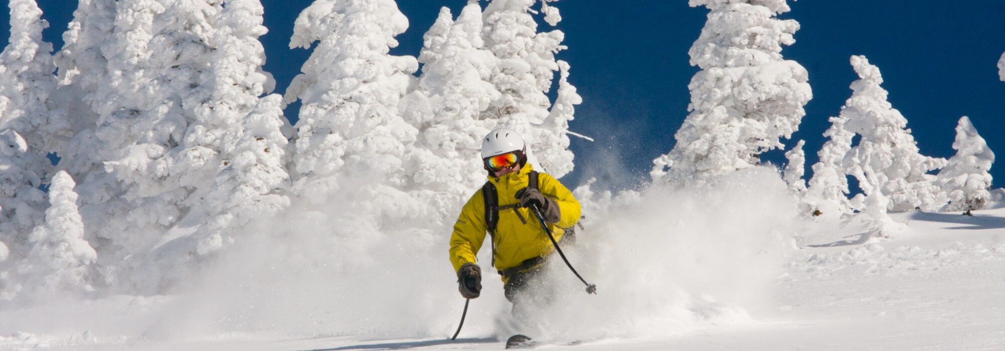 RichardSmithOngosaFounderSki