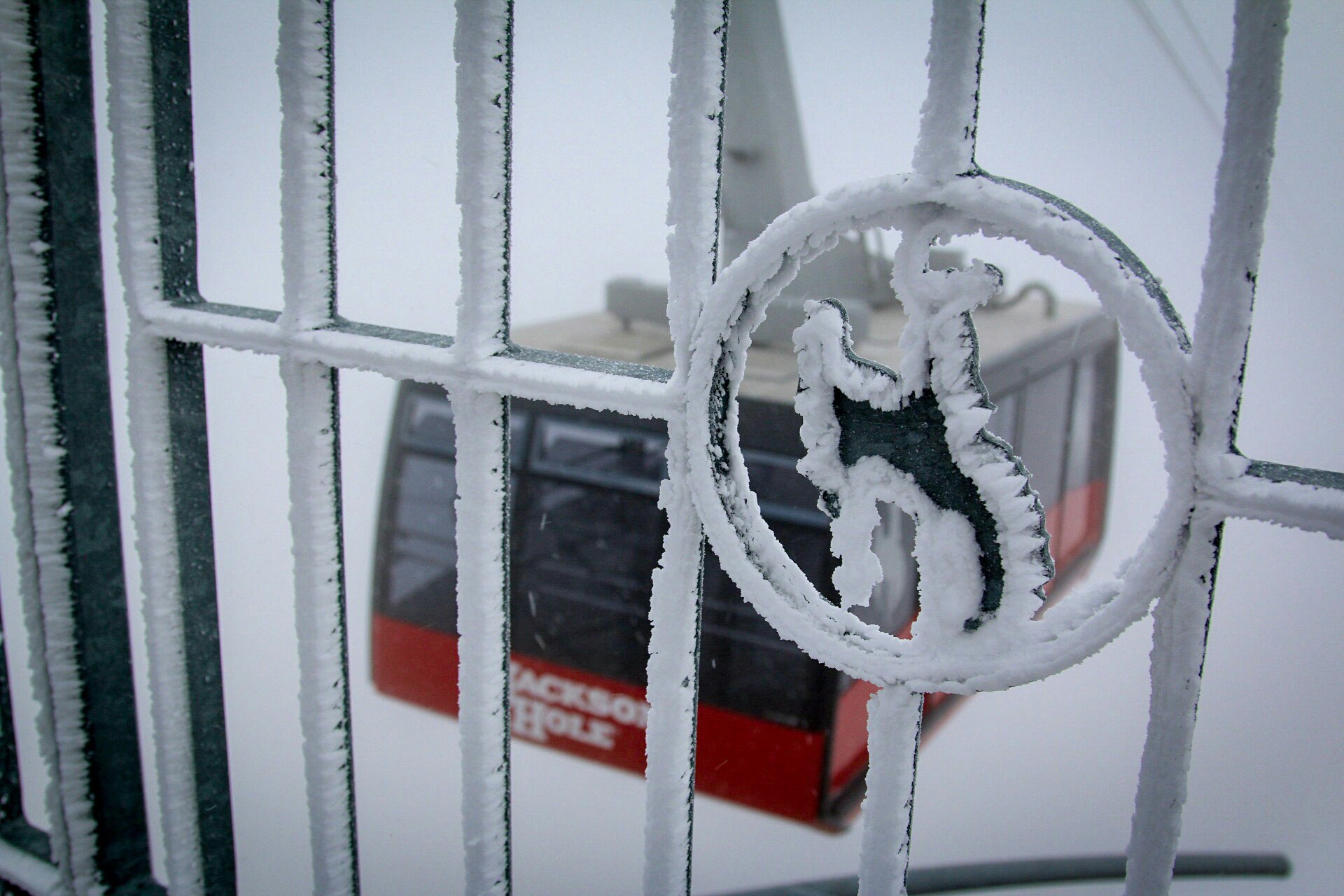 It’s Snowing all Over The (Ski) World