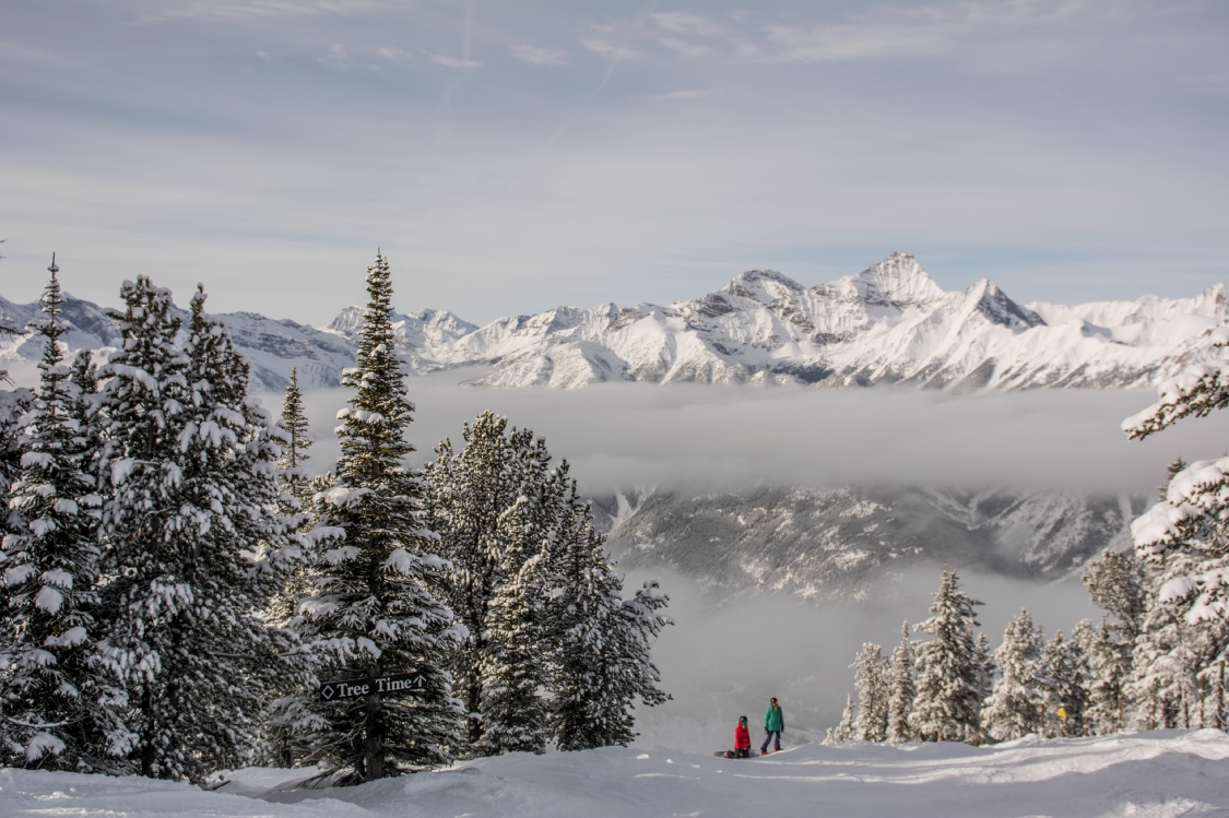 Book A British Columbia Road Trip
