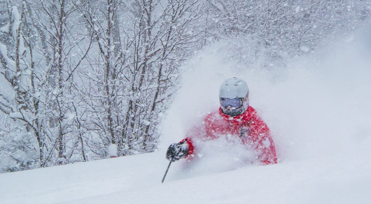 17358665 10155145240912990 2669498560676105681 o