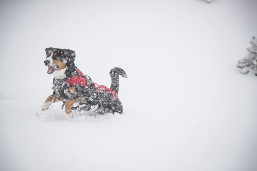 What&#8217;s The Snow Like in Canada and the USA to March 18th, 2017