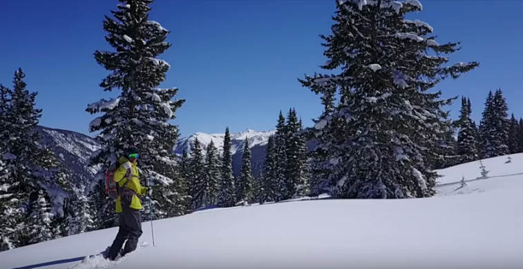 colorado backc