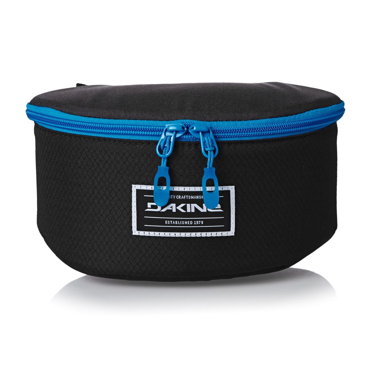 Dakine Goggle Stash Case Review 2018