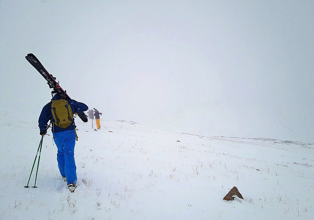 freeride copy