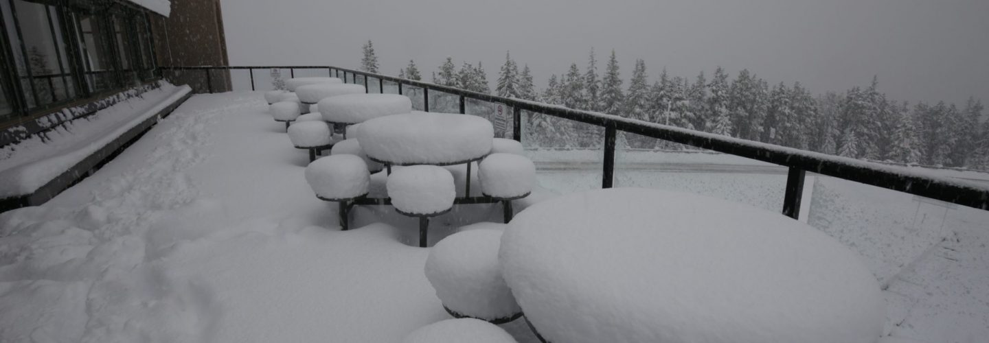 marmot basin