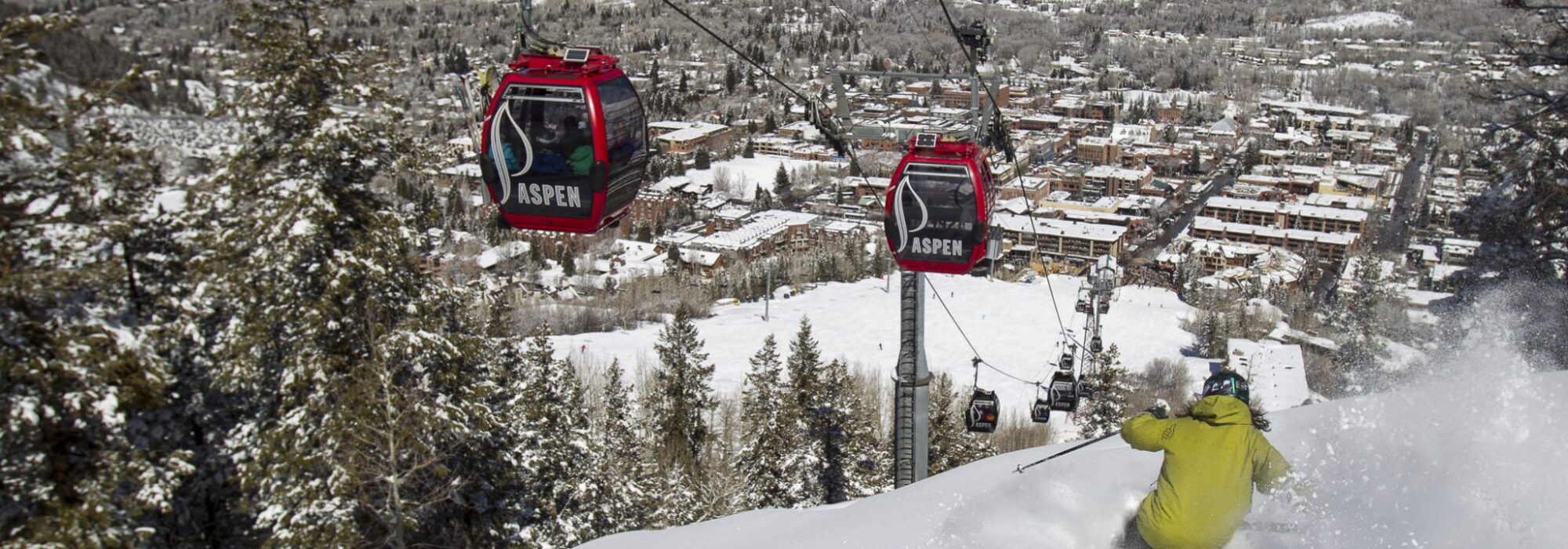 14 A 013 2100x1535 300 RGB