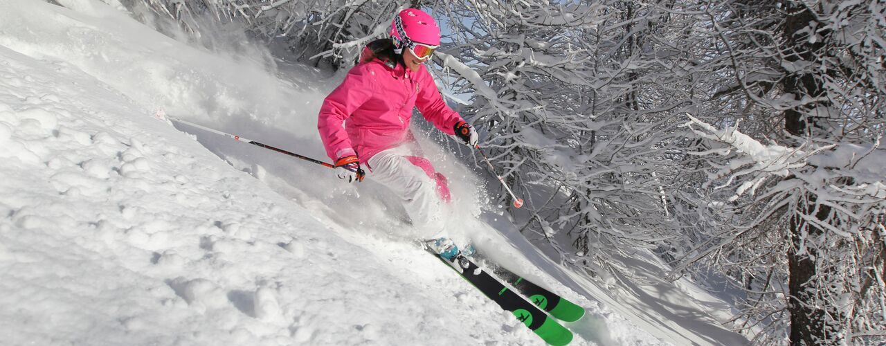 Ski Poudreuse Melezes Credit Zoomjpg preview