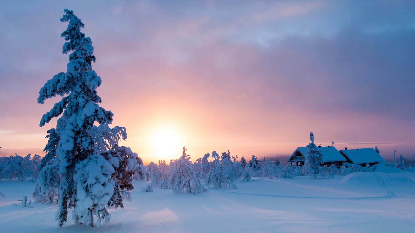 Incredible Igloo Breaks