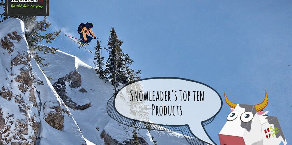 INTHESNOWPICTURE