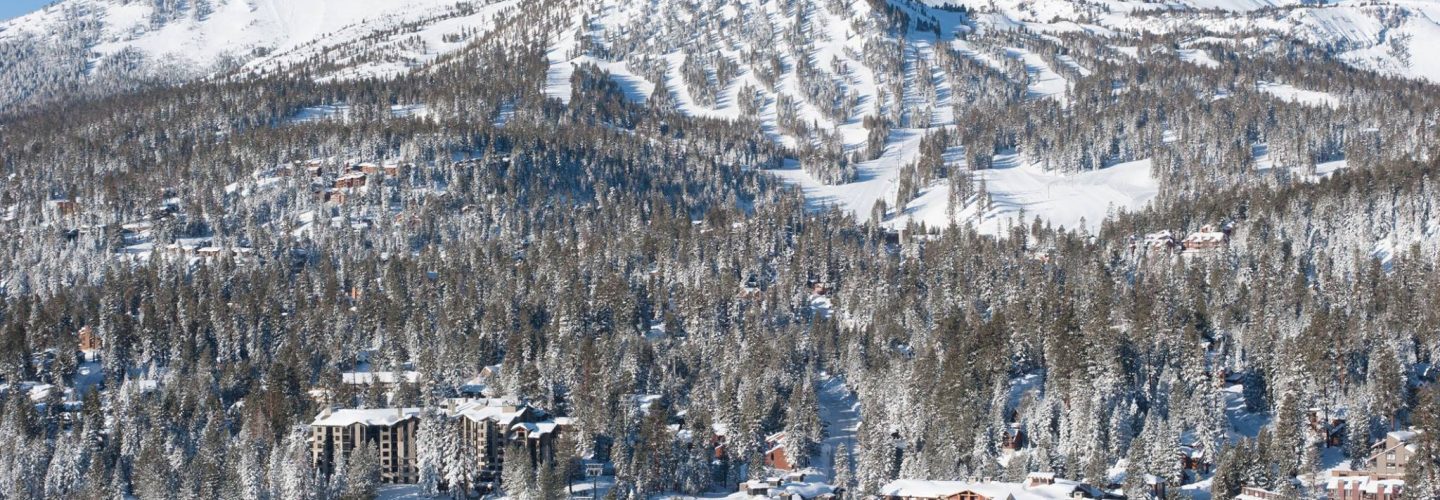 Mammoth 20 Dec