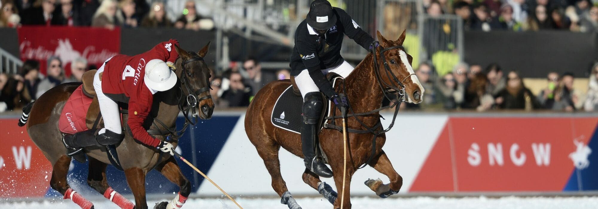 32794071151 1d262b49b1 k