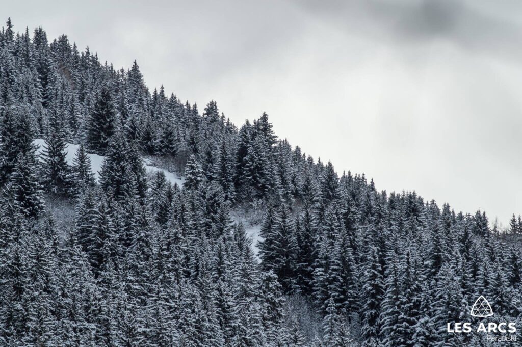 Les Arcs Snow Report and Forecast January 16, 2018