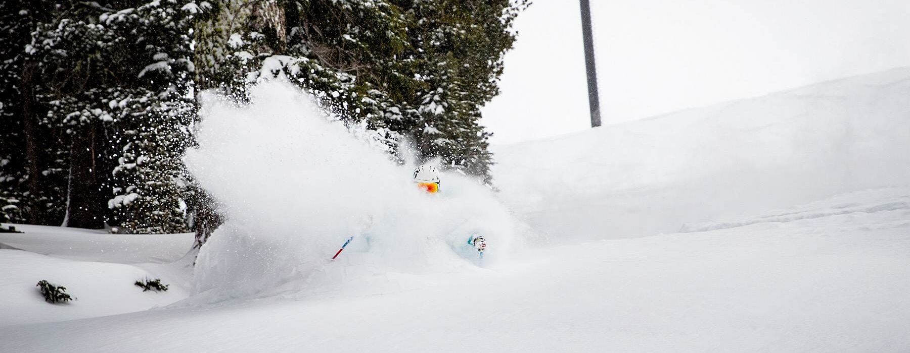 28423907 10156219205989044 4903187363338882965 o