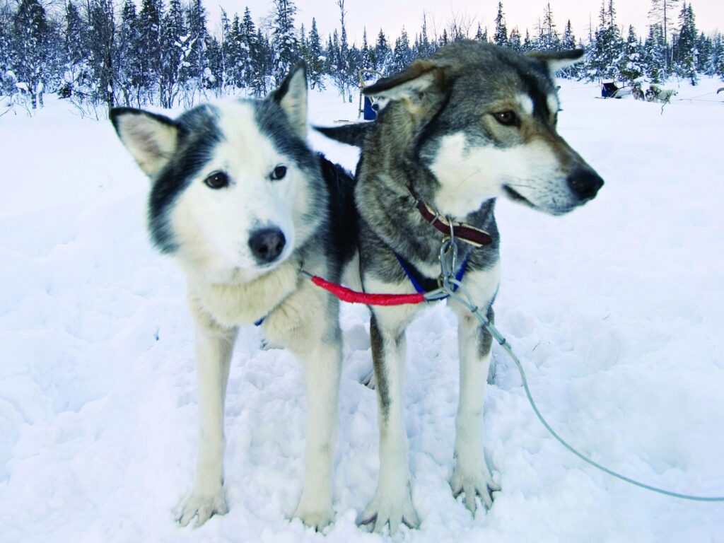 New Flight Route from Birmingham to Finland next Winter