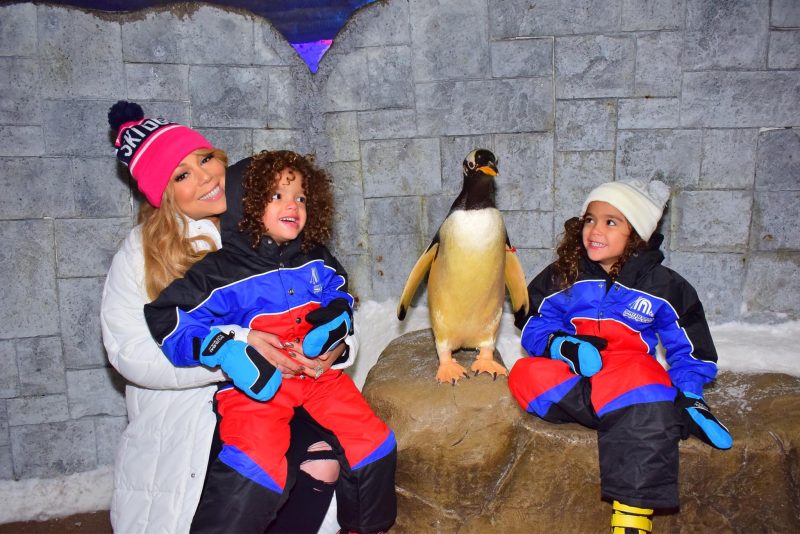 Penguins Debut at Indoor Snow Slope after Flying in to Egypt