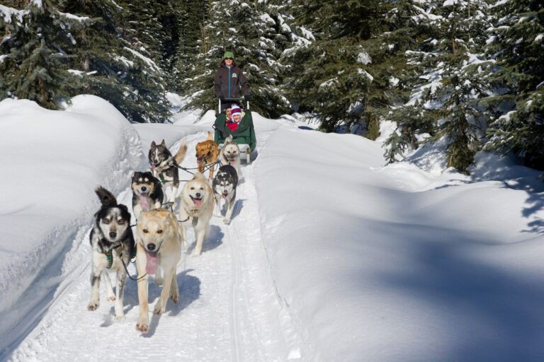 Best Family Ski Resorts in North America