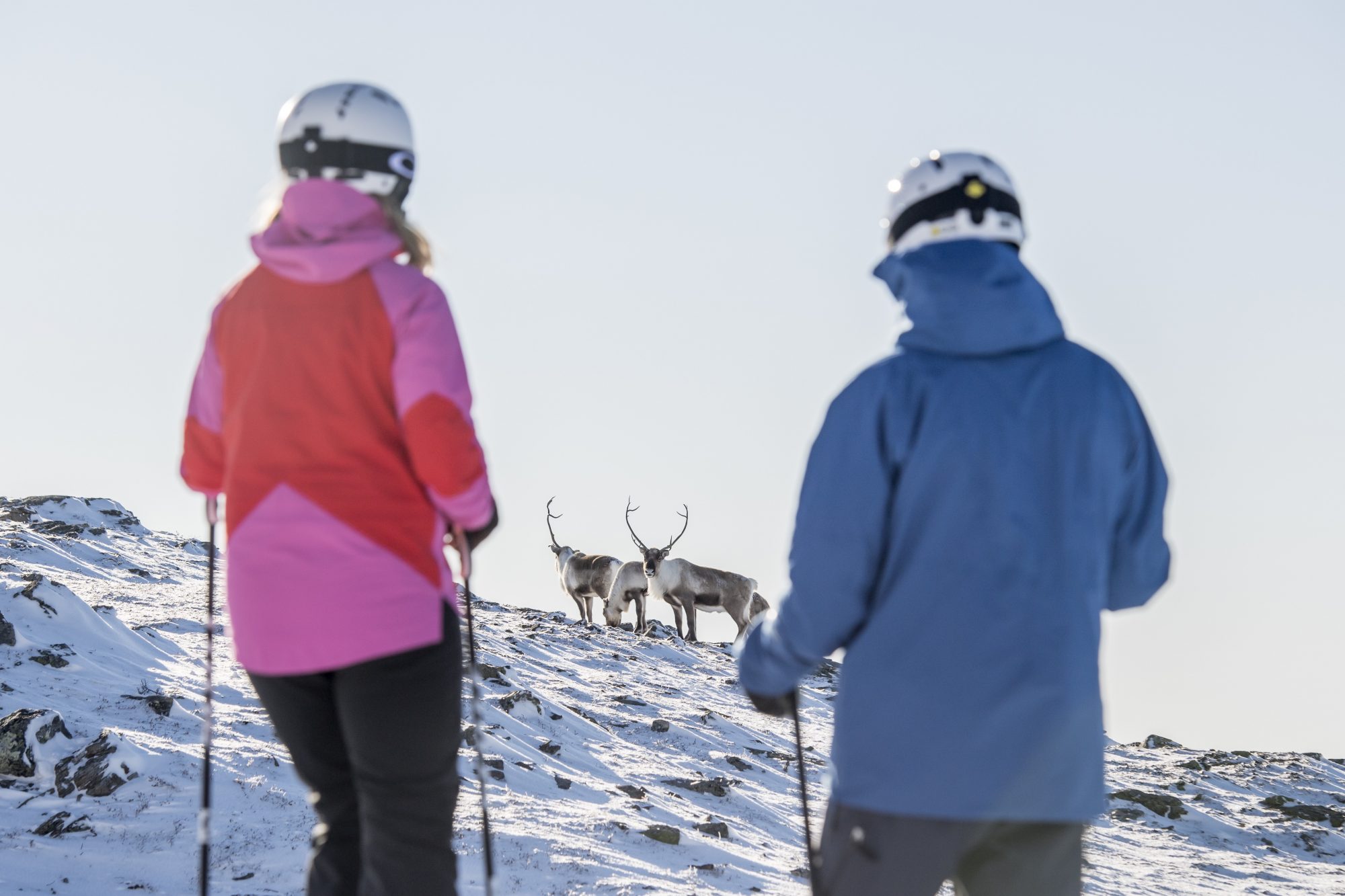 Experience The Sweet Life In Åre, Sweden&#8217;s Largest Ski Resort