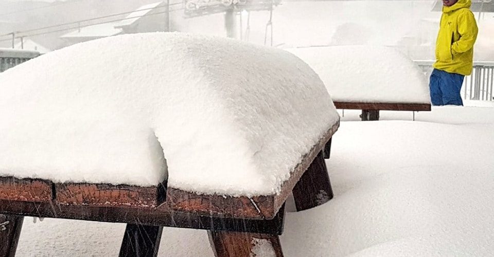 Hotham 29 may