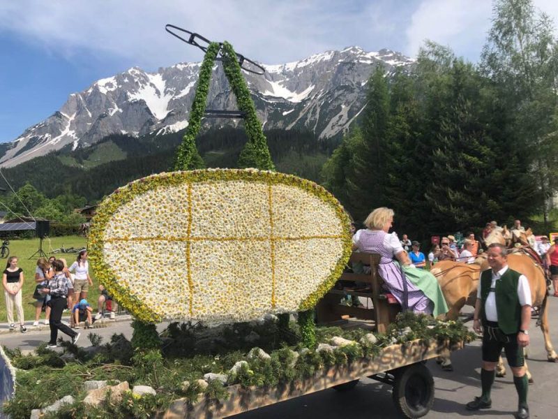 Dachstein Cable Car Recreated with 20,000 Daisies To Celebrate 50 Years