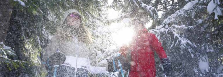 French Ski Resorts To Offer Tree Therapy