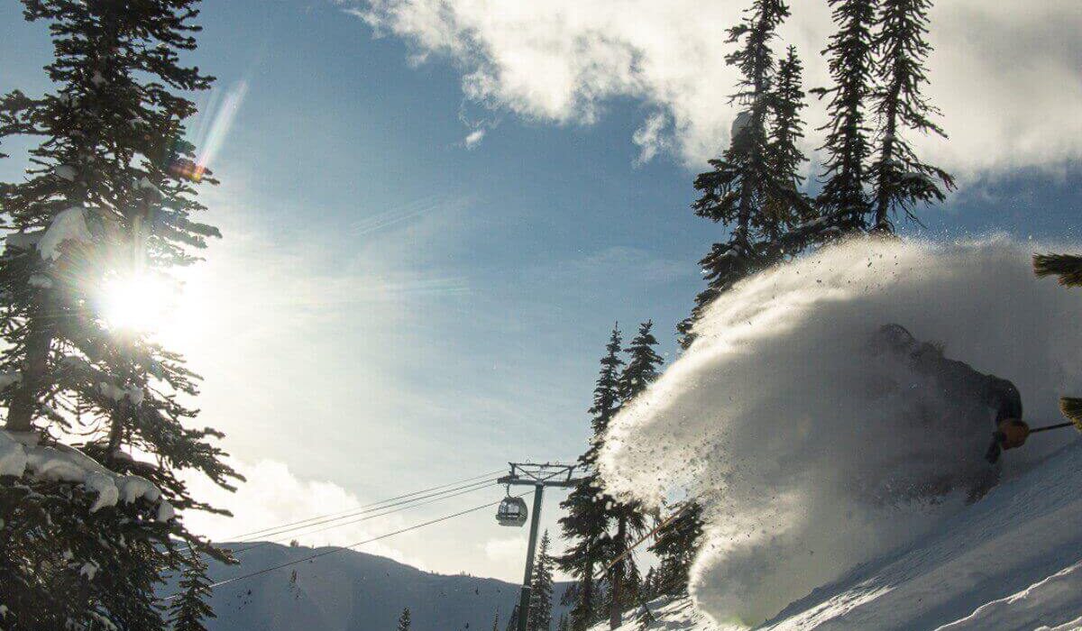 Kicking horse 20 December