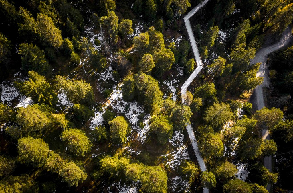 Swiss Ski Resort Opens World’s Longest Treetop Walkway As Year-Round Attraction