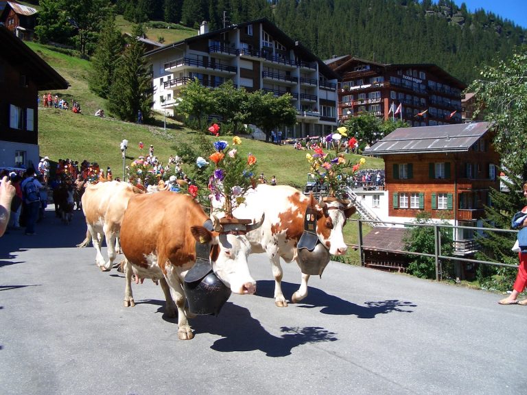 Enjoy high summer in Mürren, Switzerland