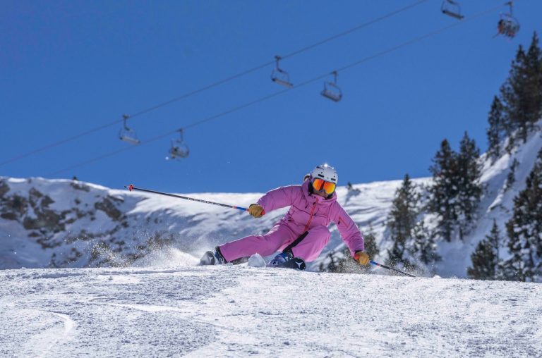 The Ski Area