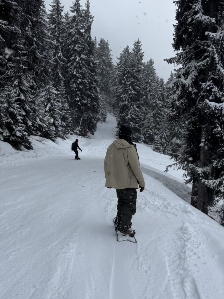 Major Snowfall in the Alps