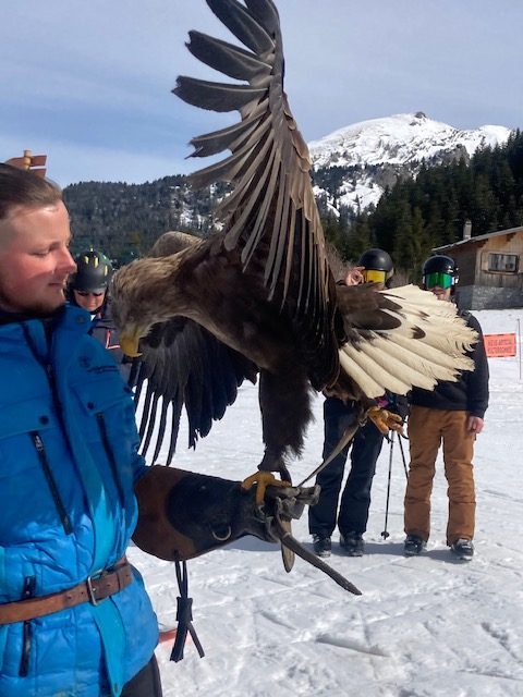 Rock The Pistes