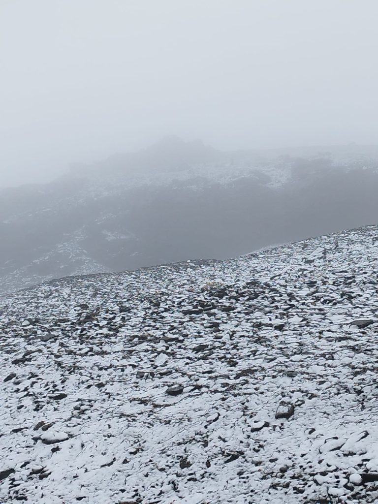 Fresh Snowfall in the Alps