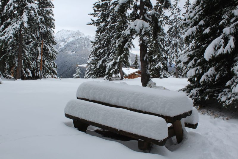 Big Snowfalls Boost Bookings
