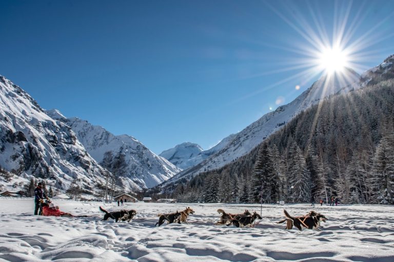 A Winter Wonderland of Fun