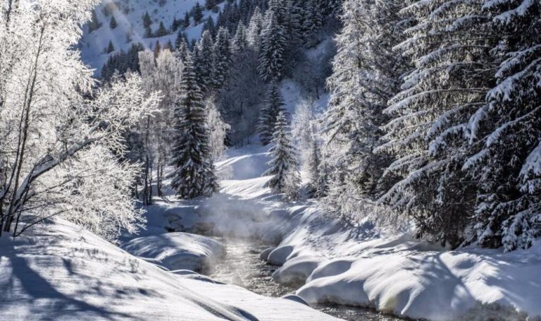 Winter Wellness in La Plagne